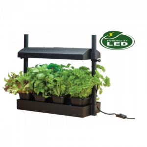 Micro Grow Light Garden daigykla 8W Juoda