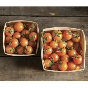 Pomidorų "Gold cherry" daigai