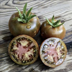 Pomidorų "Black yum yum" daigai