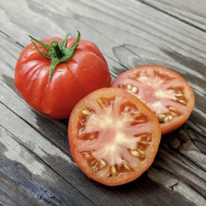 Pomidorų "Marmande" daigai