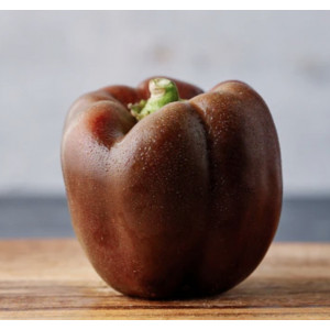 Paprikų "Sweet chocolate" daigai