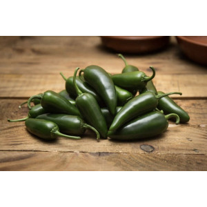 Paprikų "Jalapen" daigai