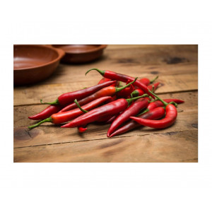 Paprikų "Cayenne" daigai