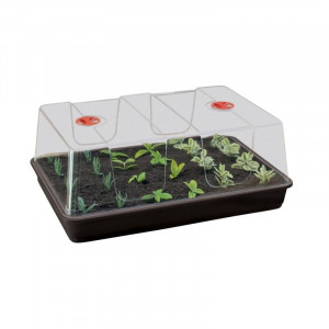 Daigykla XL High Dome, juoda