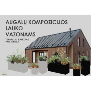 Apželdinimo dizainai lauko vazonams - 3 kompozicijos