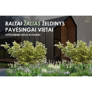 Baltai žalio gėlyno dizainas pavėsingai vietai