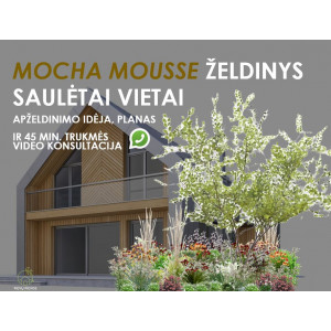 Gėlyno dizainas saulėtai vietai "MOCHA MOUSSE" ir 45 min. (video) konsultacija