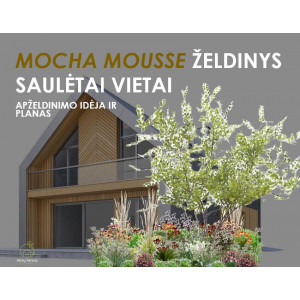 Gėlyno dizainas saulėtai vietai "MOCHA MOUSSE"