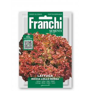 Salotos sėjamosios RICCIA LOLLO ROSSA