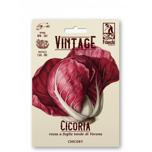 Salotinės trūkažolės (Cikorijos) ROSSA DI VERONA A PALLA