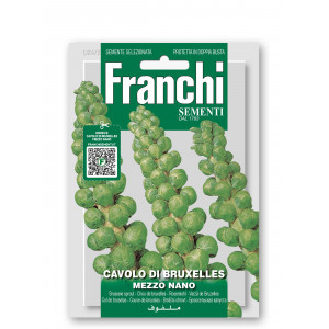 Briuselio kopūstai MEZZO NANO