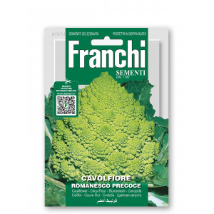 Žiediniai kopūstai ROMANESCO PRECOCE