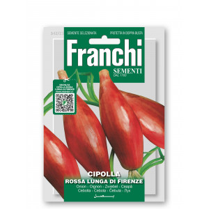 Svogūnai valgomieji ROSSA LUNGA DI FIRENZE