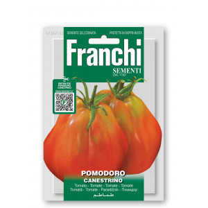 Pomidorai valgomieji CANESTRINO