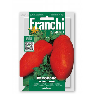 Pomidorai valgomieji SCATOLONE 3