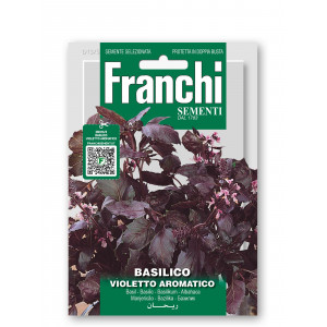 Bazilikai kvapieji VIOLETTO AROMATICO