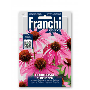 Rudbekija PURPLE RED