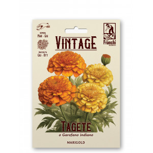Serenčiai didieji MARIGOLD
