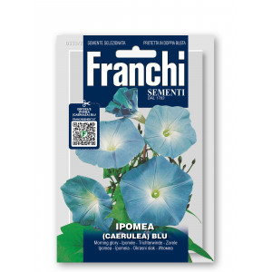 Sukutis purpurinis (Ipomėja) BLUE