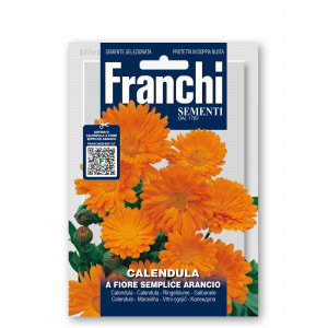 Vaistinės medetkos (pilnavidurės) A FIORE SEMPLICE ARANCIO