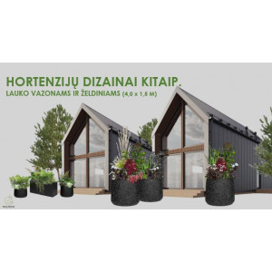 Hortenzijų dizainai kitaip