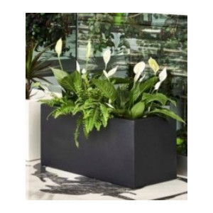 Vazonas 60x25x25cm antracitas Schio Cassa 60, plastikinis