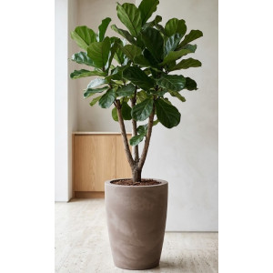 Vazonas ø40x53 tabako spalvos, Tylus Matt 40, plastikinis