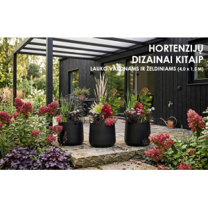 Hortenzijų dizainai kitaip