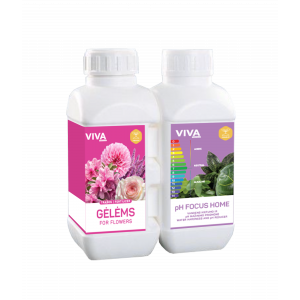 PREMIUM TRĄŠOS GĖLĖMS + pH FOCUS HOME (0,5 l+ 0,5 l)
