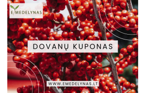 
			                        			Dovanų kuponas