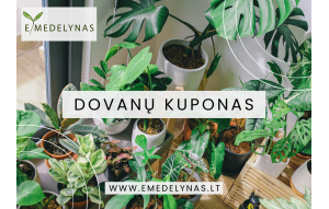 
			                        			Dovanų kuponas